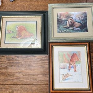 3 Framed Wildcat Pictures of Wild Cats, Signed Robert Post?